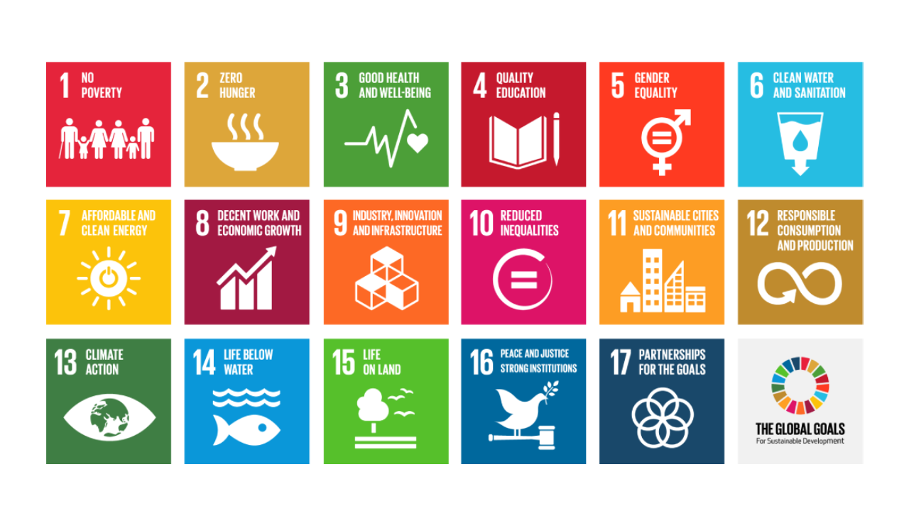 all goals sdg